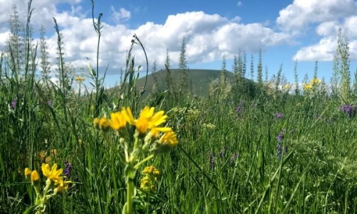 Kars’ta Yahni Dağı eteklerinde kartpostallık görüntüler