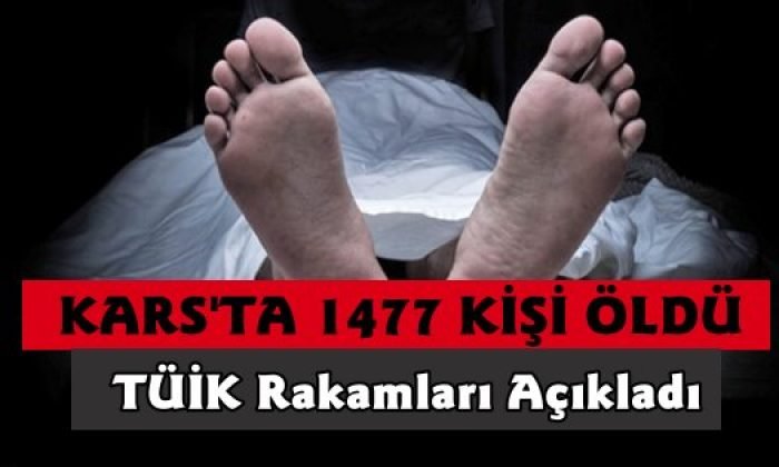 Kars’ta 2019 Yılında 1477 Kişi Yaşamını Yitirdi