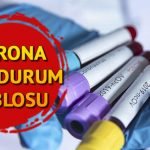 4 Temmuz Corona Virüs Türkiye tablosunda son durum: Türkiye ve dünyada koronavirüs vaka ve ölüm sayısı Covid 19 haritası 3 coronavirus