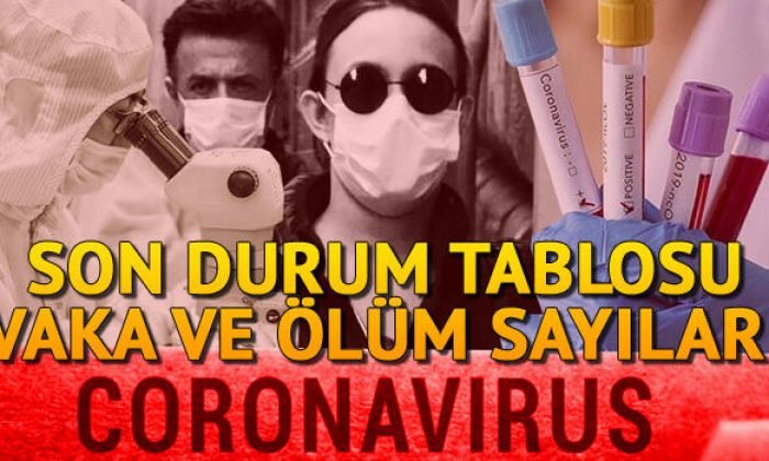 4 Temmuz Corona Virüs Türkiye tablosunda son durum: Türkiye ve dünyada koronavirüs vaka ve ölüm sayısı Covid 19 haritası