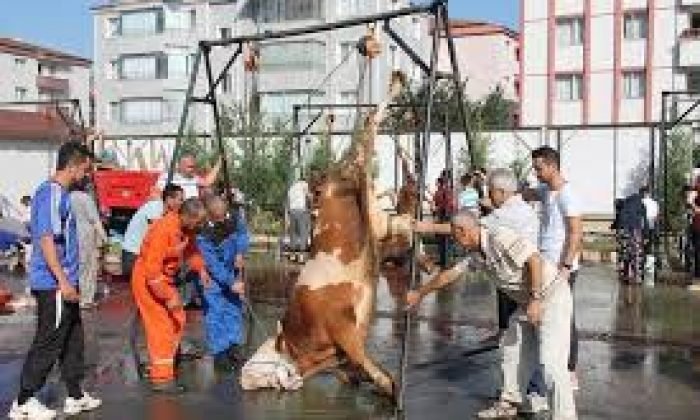 Kars Valiliği Tarafında  Kurban Hizmetleri Komisyon Kararları Açıklandı