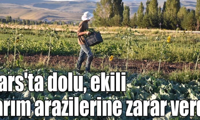 Kars’ta Yağan Dolu Köylüleri Üzdü