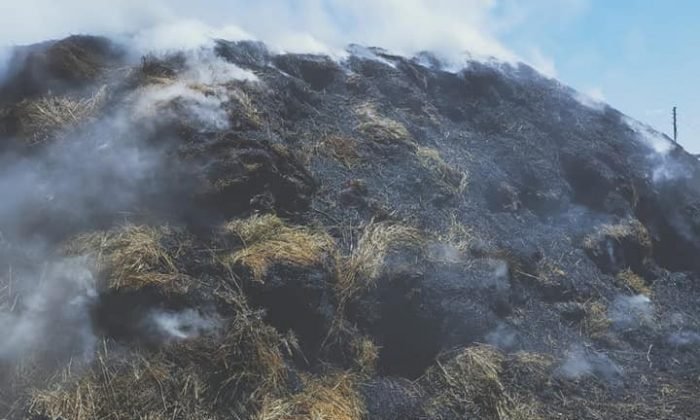 Kars’ta Ot Yangını! 10 Ton Ot Yanarak Kül Oldu