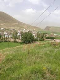 Çatdakçatı 