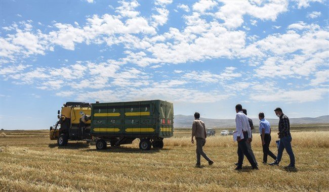 Tarlada Arpa Buğday Ürün Kaybını Denetimi Yapılıyor 1 karsta tarlada urun kaybini en aza indirmek icin bicerdover denetimi yapiliyor 11
