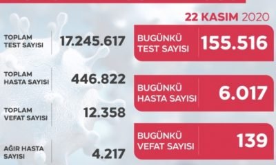 Türkiye Günlük Koronavirüs Tablosu