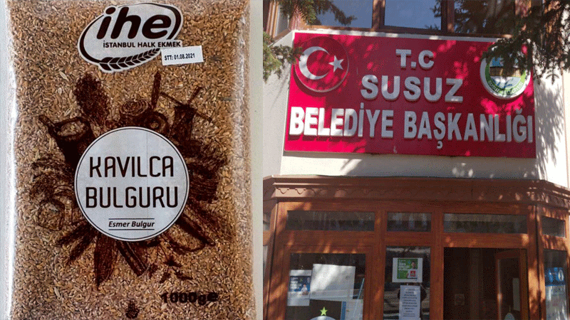 Susuz