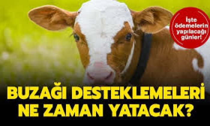 Kars’ta Buzağı destek listeleri askıya çıkartıldı