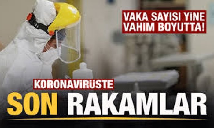 15 ŞUBAT KORONAVİRÜS TABLOSU