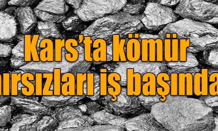 Kars’ta kömür hırsızları var