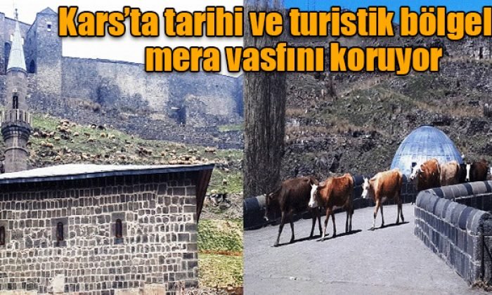 Kars’ta tarihi ve turistik bölgeler mera vasfını koruyor