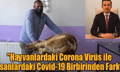 KARS VETERİNER HEKİMLERİ AÇIKLADI
