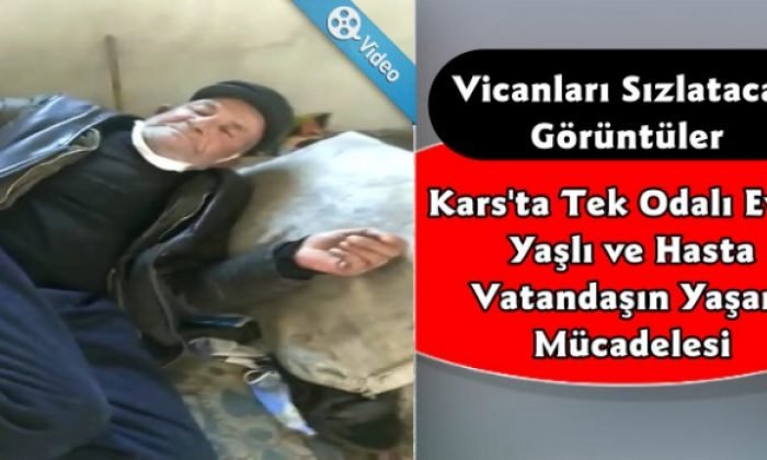 Kars’ta Tek Başına Yaşam Mücadelesi Veriyor