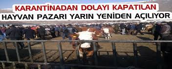 Kars'ta Hayvan Pazarları açılıyor 1 indir 11