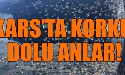 Hareket halindeki araçta arı kovanı devrildi