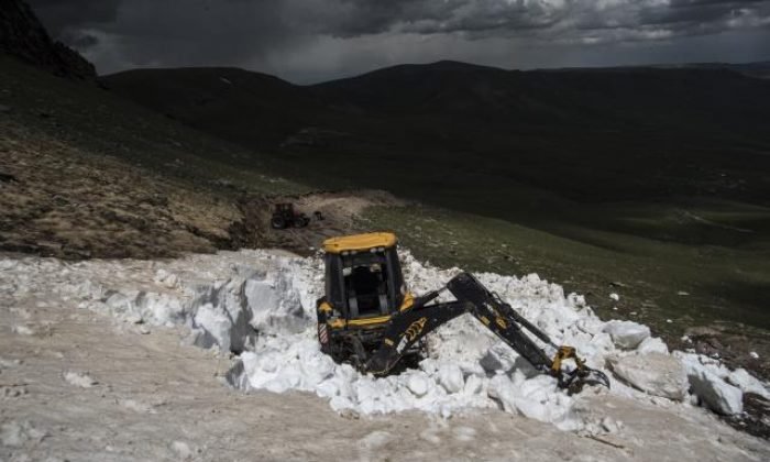 Kars’ta “kar panterlerinin mesaisi haziran ortasında sona erdi