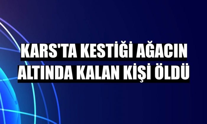 Kars’ta kestiği ağacın altında kalan kişi hayatını kaybetti