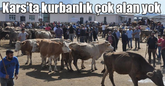 Kars’ta kurbanlık çok alan yok 1 475846
