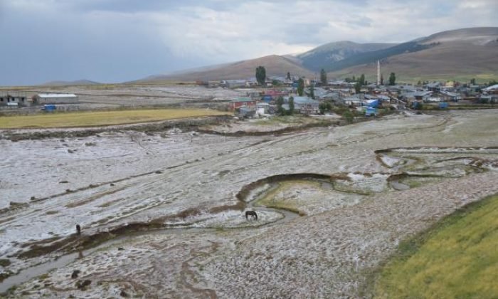 Kars’ta etkili olan dolu ekinlere zarar verdi