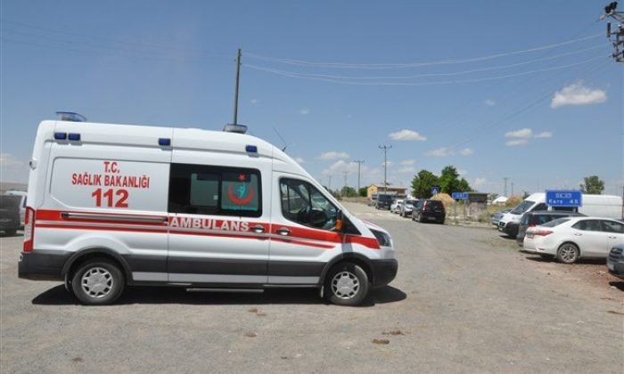 Kars’ta Hayvan Otlatma Kavgası