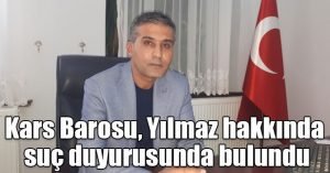 Kars Barosu, Didem Arslan Yılmaz hakkında suç duyurusunda bulundu 1 507666 1