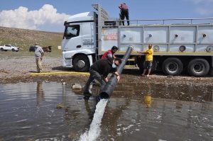 Elazığlı Keban Su Ürünleri İşletmesi'nden Kars'a gönderilen 2 000 000 yavru sazan, başta Çıldır Gölü dahil olmak üzere göl ve baraj göletlerine bırakıldı.