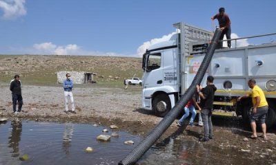  KARS’TAKİ GÖLLERE 2 MİLYON YAVRU SAZAN BIRAKILDI