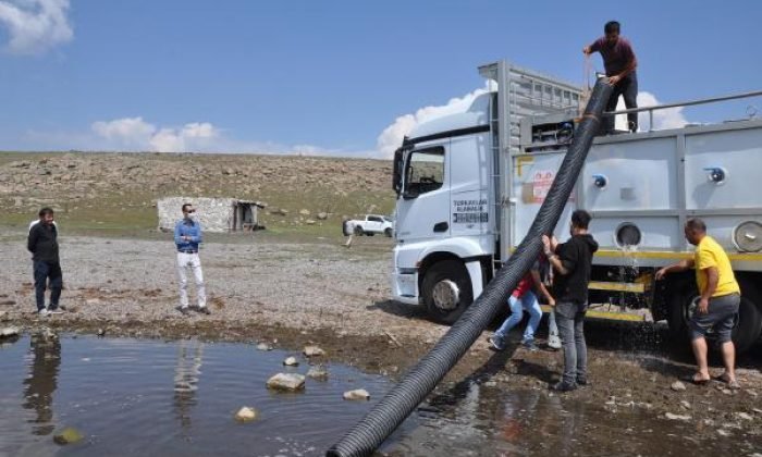  KARS’TAKİ GÖLLERE 2 MİLYON YAVRU SAZAN BIRAKILDI