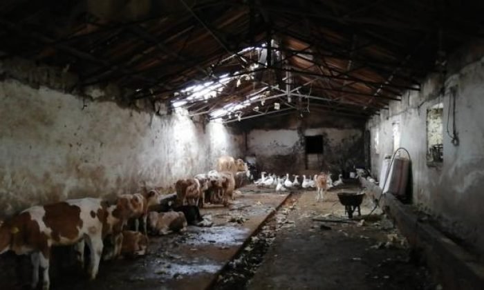 Kars’taki hortumda zarar gören yapılarda hasar tespiti yapıldı