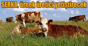 SERKA, örnek üretici yetiştirecek