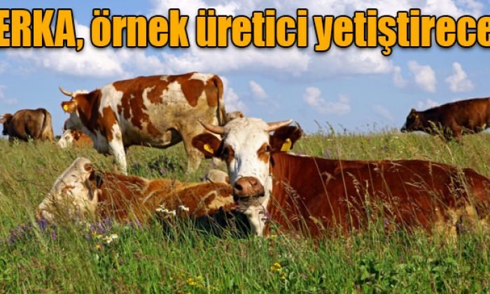 SERKA, Örnek Üretici Yetiştirecek | Kars Haber