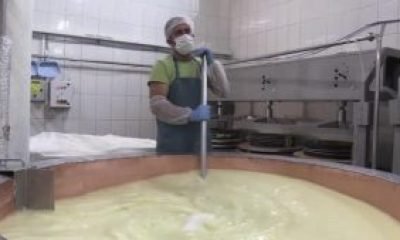 Sebze ve meyvelerden mor renkte gravyer ile kaşar peyniri üretiliyor