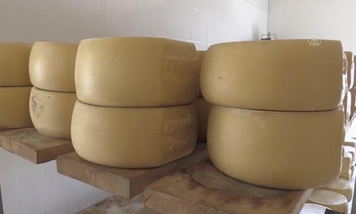 Yurt genelindeki kuraklık tescilli Kars kaşarı üretimini de etkiledi