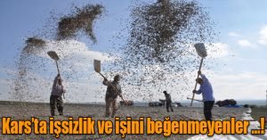 Kars’ta işsizlik ve işini beğenmeyenler 1 535419