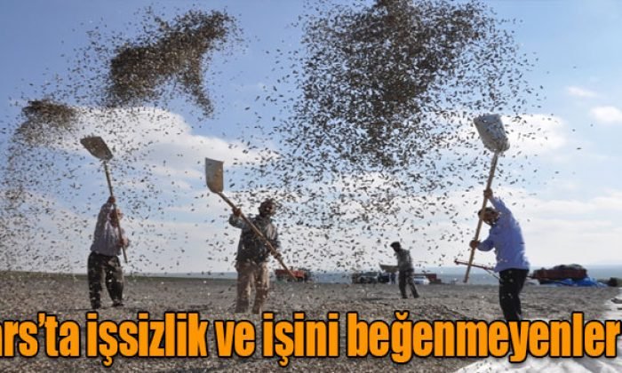 Kars’ta işsizlik ve işini beğenmeyenler