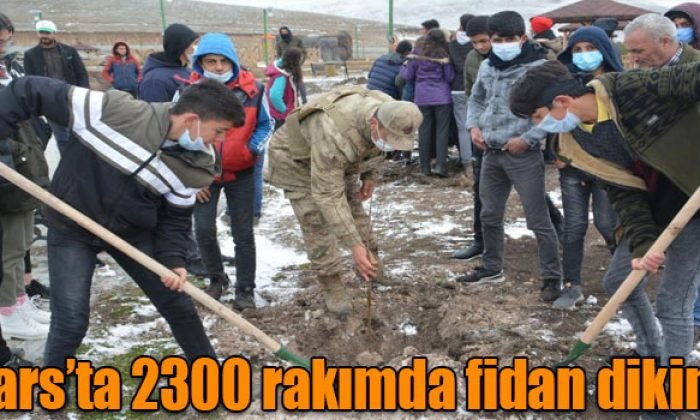 Kars’ta 2300 rakımda fidan dikimi