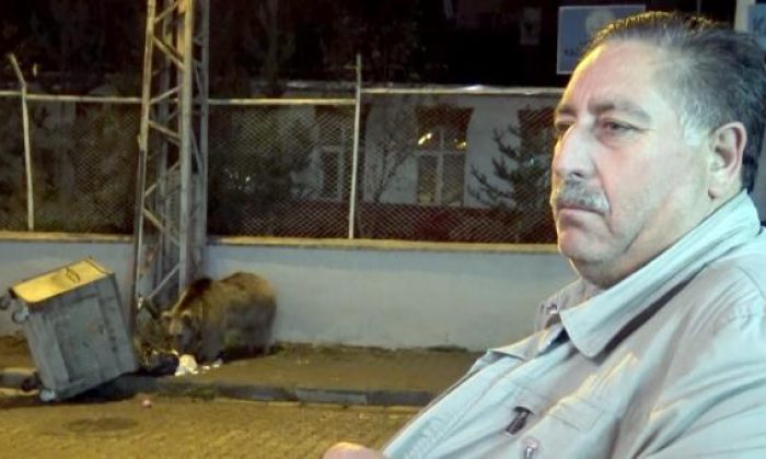 Kars Sarıkamışta bozayı okul bahçesine girdi