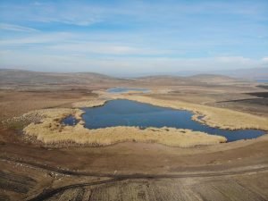 Kars