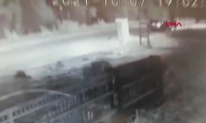 Kars’ta sokak hayvanlarına Çarpan 3 Sürücüye 1500 TL CEZA