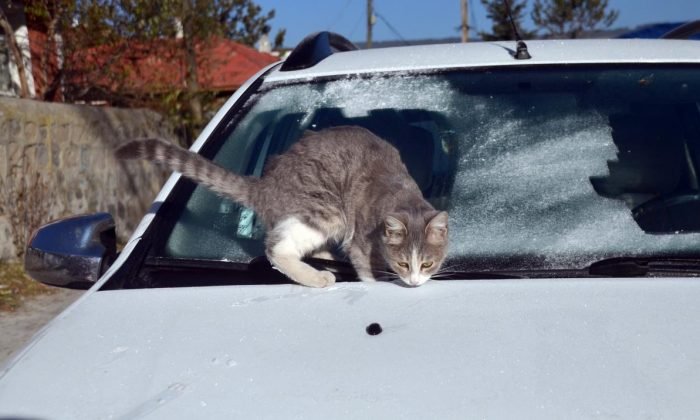 Kars ‘ta termometreler sıfırın altında 9 dereceyi gösterdi