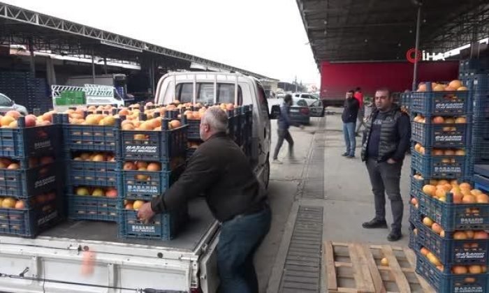 Tarım sektörü, serbest piyasa ekonomisinin dışında planlanmalı