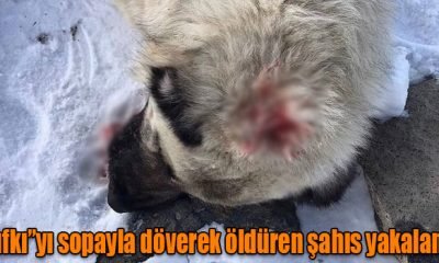 “Rıfkı”yı sopayla döverek öldüren şahıs yakalandı