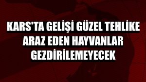 Kars'ta tehlike araz eden hayvanlar gezdirilemeyecek 1 77146