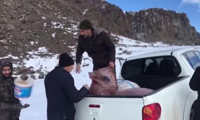 Kars’ta Avcılar Yaban Hayvanlarına Yem Bıraktı