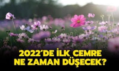 İlk Cemre Bugün Düştü