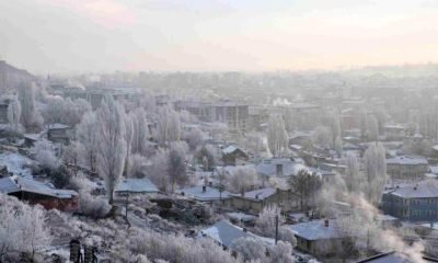 Kars Buz kesti, Ağaçlar Kırağı Tuttu