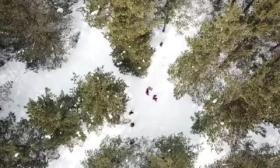 Mehmetçik ve doğa koruma görevlileri yaban hayatı için doğaya yem bıraktı