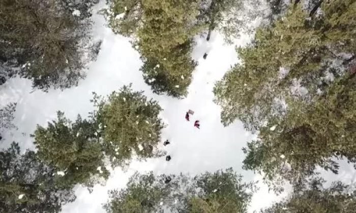 Mehmetçik ve doğa koruma görevlileri yaban hayatı için doğaya yem bıraktı