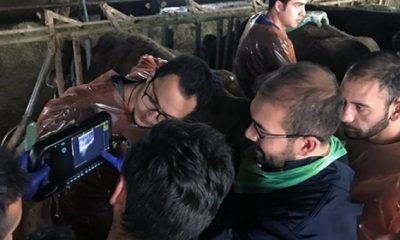 Kars’ta “İneklerde UygulamalıUltrasonografi Kursu” düzenlendi