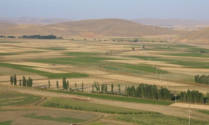 Kars’ın üç ilçesinde arazi toplulaştırması yapılacak